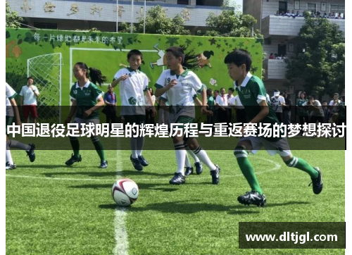 中国退役足球明星的辉煌历程与重返赛场的梦想探讨