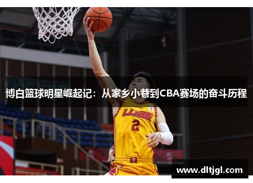 博白篮球明星崛起记：从家乡小巷到CBA赛场的奋斗历程